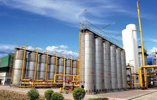 慶祝新中國成立70周年 平煤神馬集團(tuán)11個(gè)化工新材料重點(diǎn)項(xiàng)目集中開竣工